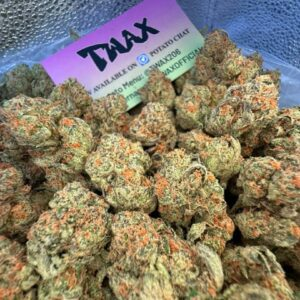 Marijuana Strains