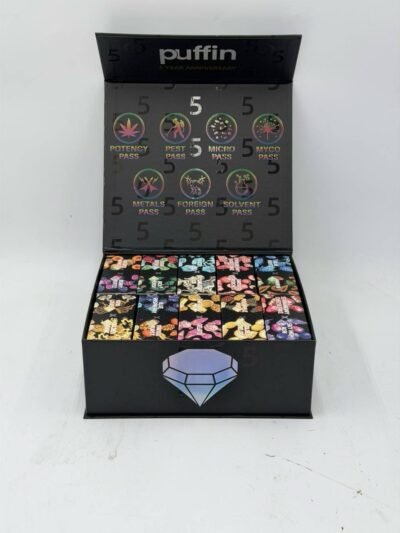 Puffin 5 Year Anniversary 2G Disposable