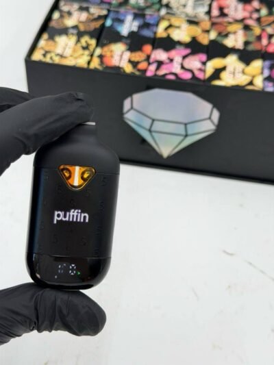 Puffin 5 Year Anniversary 2G Disposable